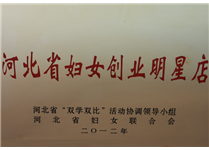 河北省妇女创业明星店