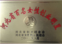河北省百名女性创业明星