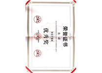 母婴护理员优秀奖